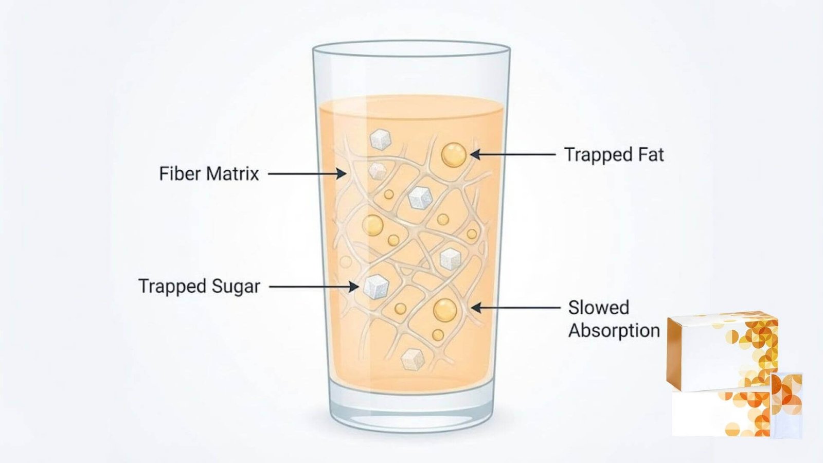 กราฟิกแสดงกลไกการทำงานของ Fiber Matrix ใน Bios Life S ที่ก่อตัวเป็นตาข่ายเจลเพื่อชะลอการดูดซึมน้ำตาลและไขมัน